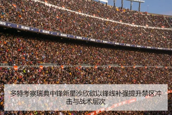 多特考察瑞典中锋新星沙欣欲以锋线补强提升禁区冲击与战术层次
